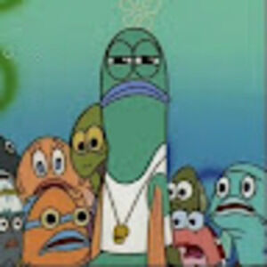 Meet your Posher, Troy